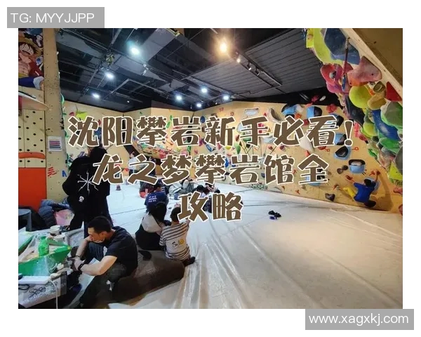 攀岩新手必看：从零基础到高手的全面能力提升指南